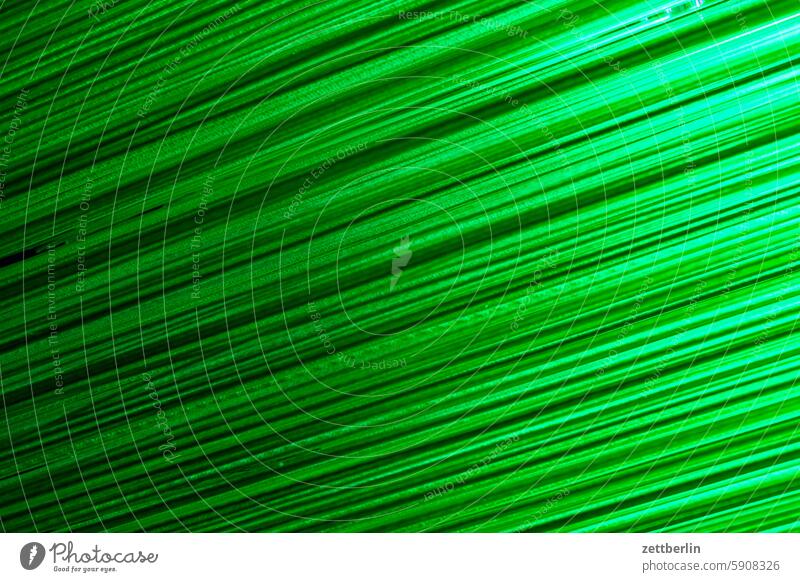 Fringed curtain variegated Design Colour Light Pattern Fairy tale structure texture Progress Drape Green blurred Dynamic Abstract background blurriness Art