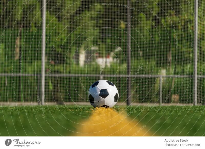 Soccer ball ready on green field with goal background soccer net park sport play game grass outdoor summer leisure activity competition fun team teamwork