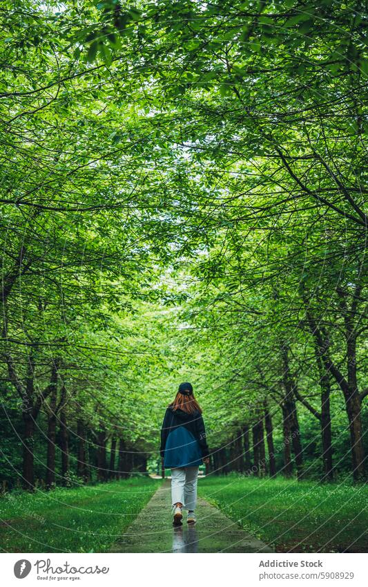 Back view of unrecognizable woman walking in lush Copenhagen park copenhagen denmark back view anonymous faceless greenery trees pathway solitude outdoor travel