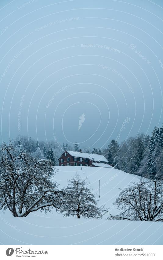 Snow-covered Swiss landscape with traditional house switzerland winter snow tree blue sky serene scene cold frost nature outdoor rural tranquil scenery europe