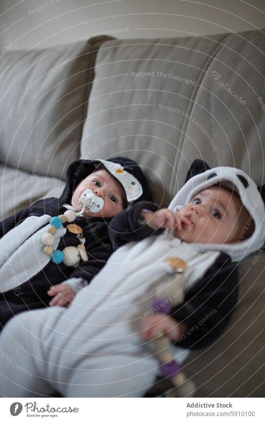 Two infants in cute animal-themed outfits on a sofa baby newborn costume penguin soft toy couch relaxing adorable cozy dressed photo comfortable fabric detail