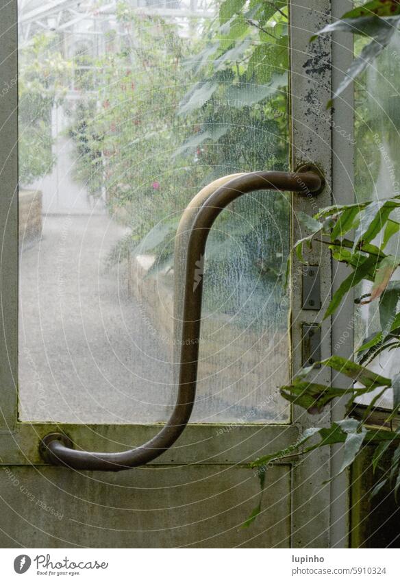 Curved greenhouse door handle in the Botanic Garden Botanical gardens cloudy glass Old Munich plants Closed Detail Metal Interior shot structure Portrait format