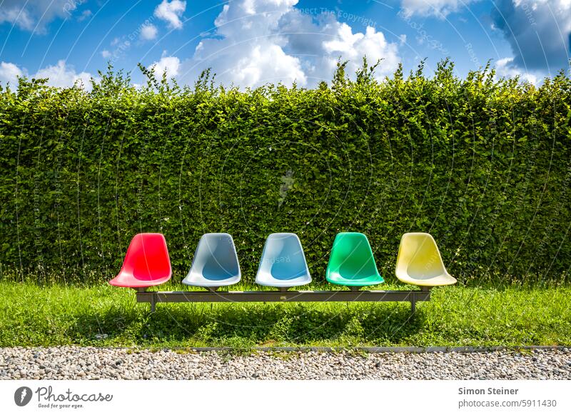 Colorful chairs in front of a hedge variegated colourful Colour Nature Hedge Garden out Chair