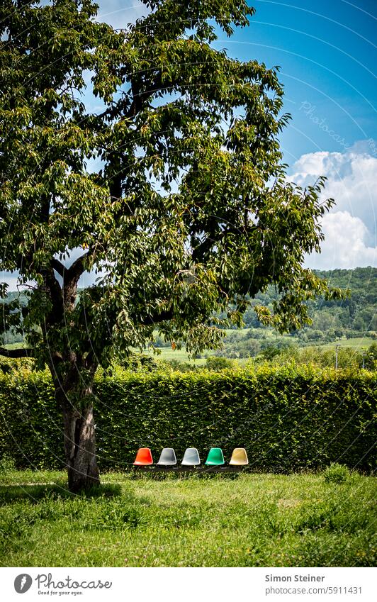 Colourful chairs Chair colourful Garden Nature Tree grass