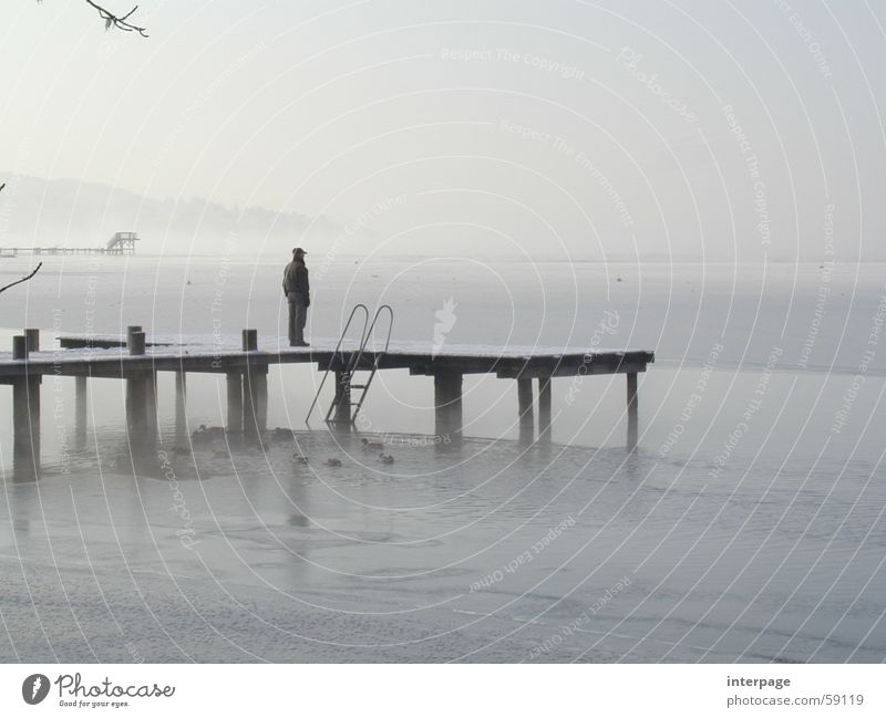 View into the distance Lake Ammer Herrsching am Ammersee Bavaria Man Footbridge Loneliness Far-off places Gray Looking Ice Human being