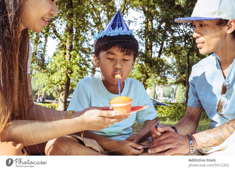 Asian family celebrating a child's birthday at a sunny park summer celebration asian picnic outdoor happiness joy event boy mother father casual lifestyle