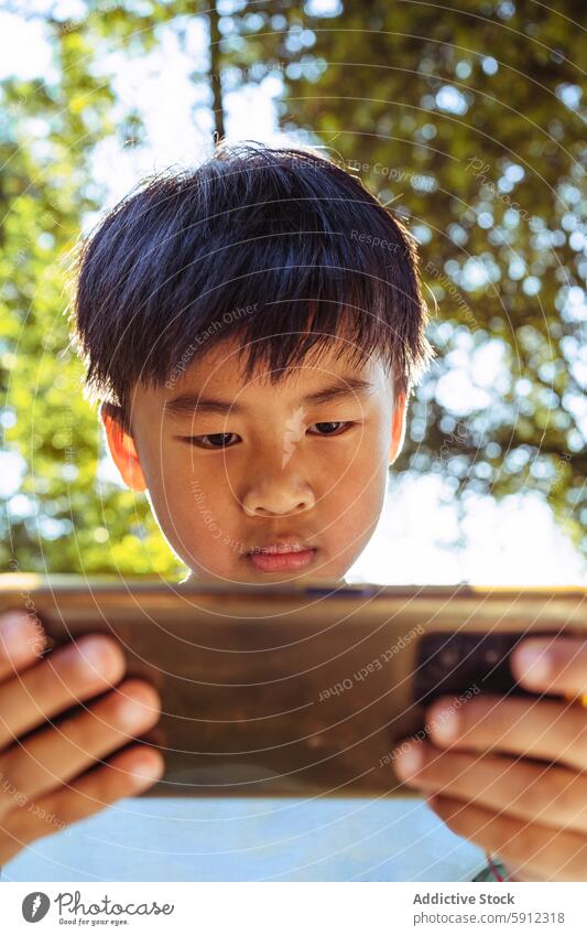 Young boy intently using smartphone outdoors asian picnic summer tree focus child technology mobile park sunny sunlight casual youth digital gadget concentrated