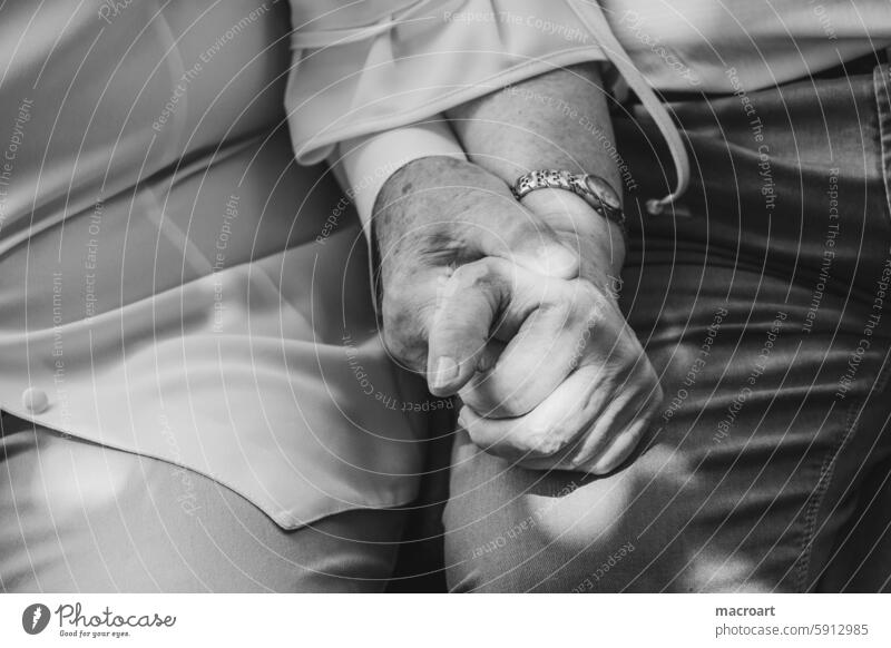 elderly couple holding hands, close-up of hands in black and white older Married couple hold hands Hold hands take hold of sb./sth. Love Wedding marriage