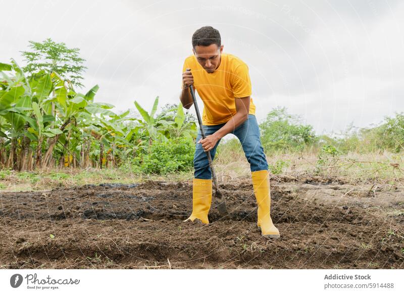 Latin Man carefully transplanting hibiscus shoots in garden man gardening tropical yellow shirt rubber boot outdoor agriculture horticulture botany soil digging