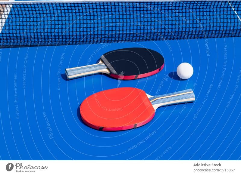 Two colorful table tennis rackets and ball on blue background net red black sport ping-pong paddle game equipment competition leisure play hobby indoor outdoor