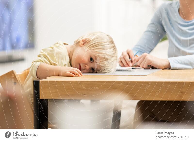 Caring young Caucasian mother and small son drawing painting in notebook at home together. Loving mom or nanny having fun learning and playing with her little 1,5 year old infant baby boy child.