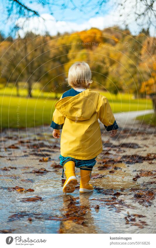 Sun always shines after the rain. Small bond infant boy wearing yellow rubber boots and yellow waterproof raincoat walking in puddles in city park on sunny rainy day.