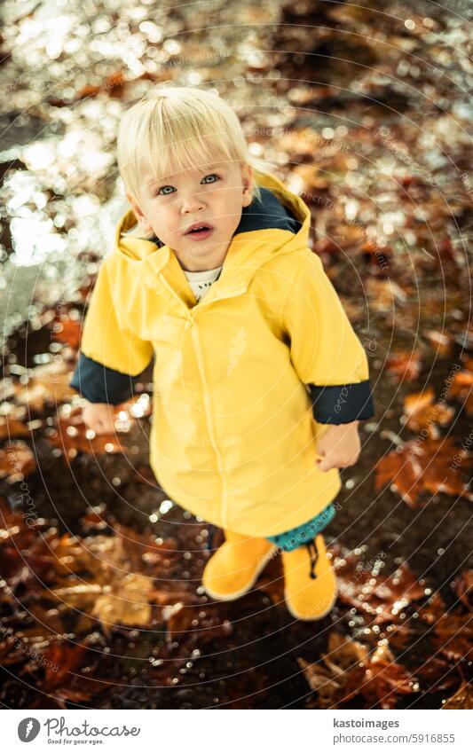 Small blond infant boy wearing yellow rubber boots and yellow waterproof raincoat walking in puddles on a overcast rainy day. Child in the rain. child fun