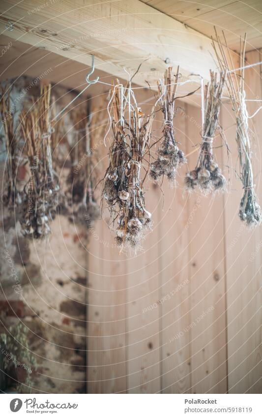 #A0# Organic garlic Dried flowers Dry Drying on the line drying wild flowers Attic Flower Interior Decoration Garlic Garlic bulb Clove of garlic Garlic soup