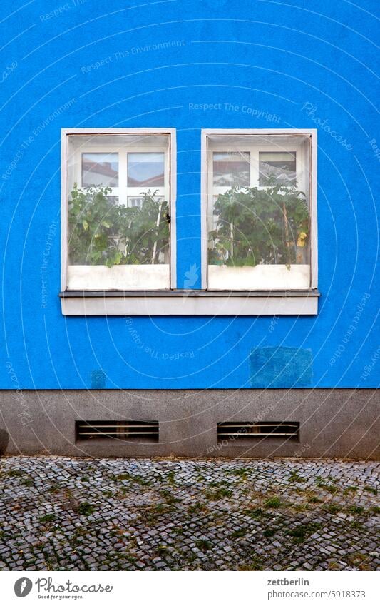 Tomatoes at the window Architecture Berlin Office city Germany Facade Window Worm's-eye view Building Capital city House (Residential Structure) Sky downtown