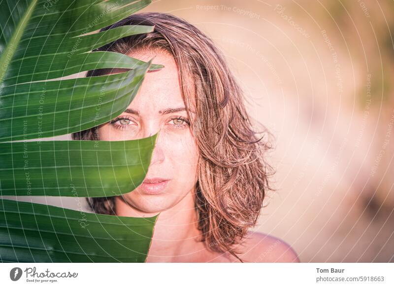 Young woman looks directly into the camera and is covered by a large plant leaf Looking into the camera portrait Brunette Feminine 18 - 30 years Colour photo