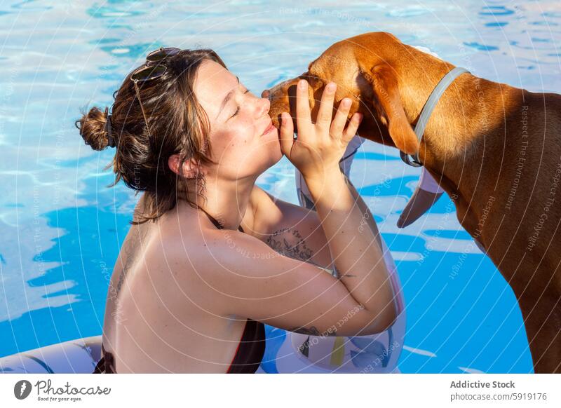 Woman and dog bonding in a pool woman affection play sunshine interaction water joyful swim summer outdoor leisure friendship pet fun happy float relax carefree