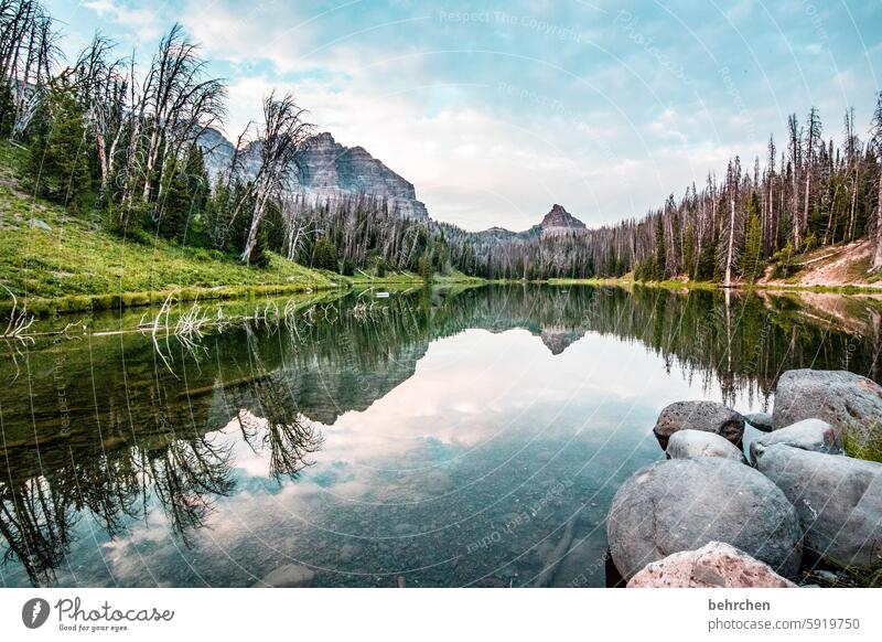 somewhere in wyoming silent stones Wyoming USA Americas Water Clouds Lake trees Mountain Landscape Forest Fantastic Vacation & Travel Nature especially