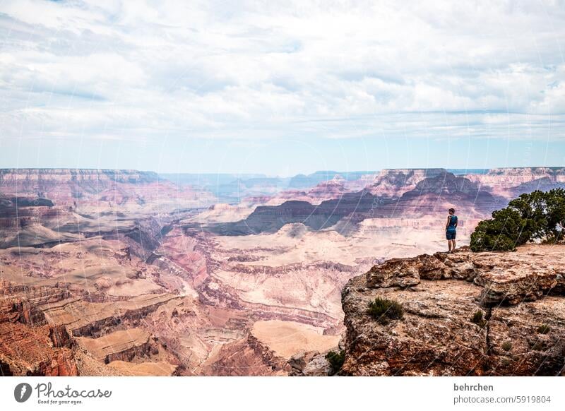 small man, big world Landscape In transit endlessness Arizona Wanderlust Longing Dream Exceptional Fantastic USA Americas Freedom Sky Vacation & Travel