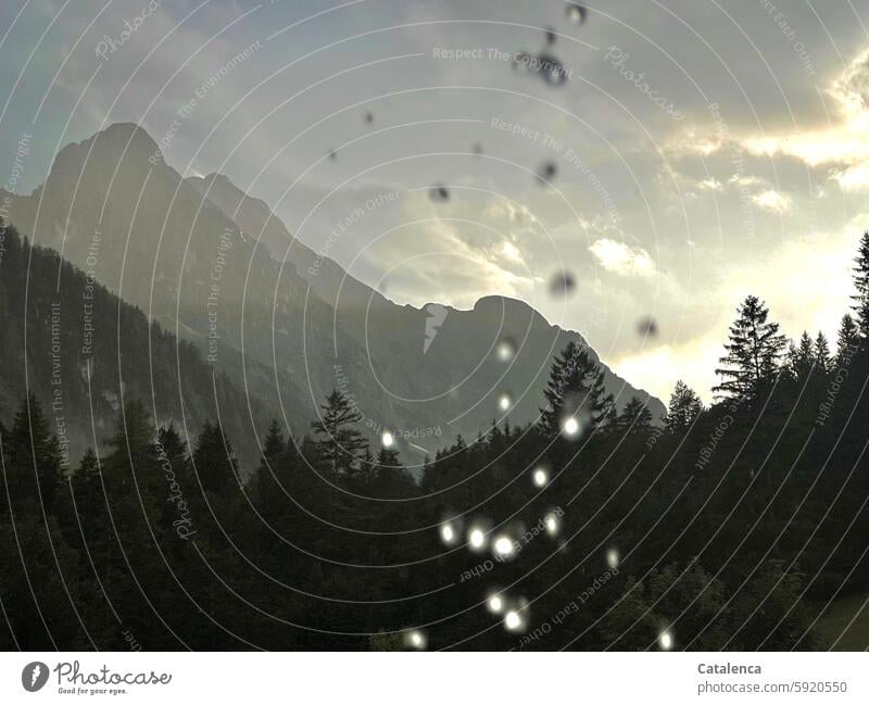 It's raining Horizon Climate Peak mountain daylight Day trees Forest Environment Water Sky Mountain Landscape mountains Alps Storm clouds Threat Elements