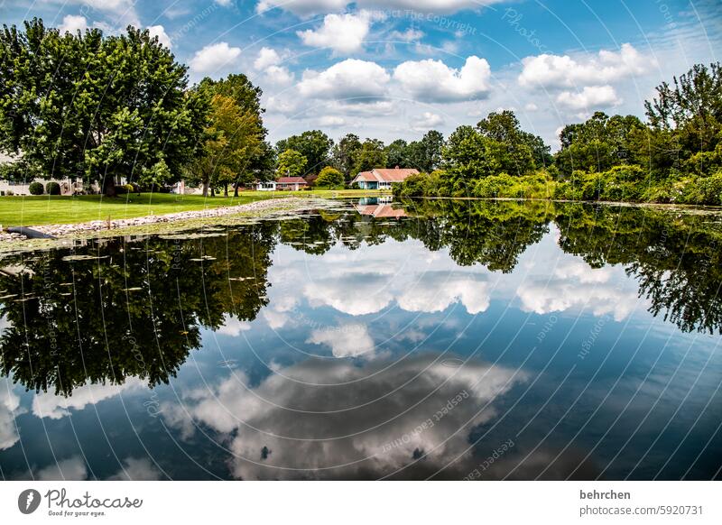 idyllic Reflection wide Far-off places Wanderlust especially Vacation & Travel Fantastic Nature Landscape Lake trees Clouds USA Americas Warsaw Idyll