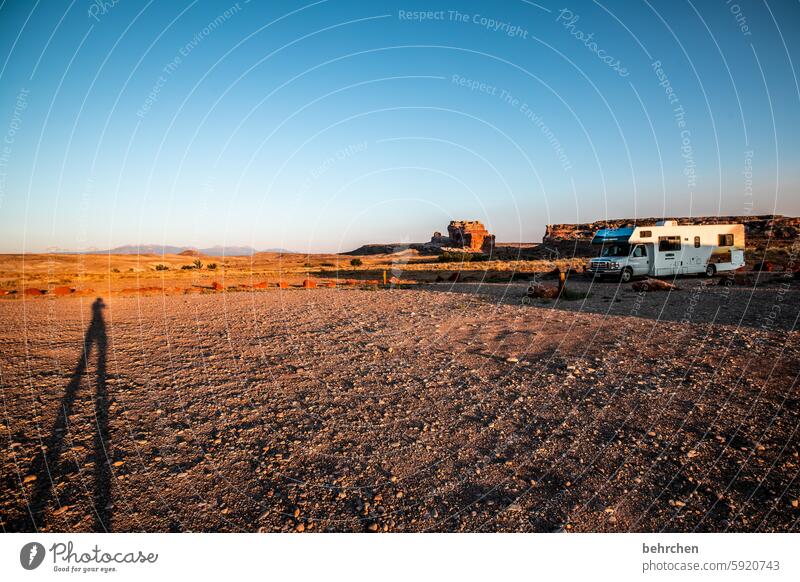 shadowy existence Dusk Night Sleep Evening Twilight Wilderness Camping site camp Sunset Sand Colour photo Wanderlust Far-off places Landscape Vacation & Travel