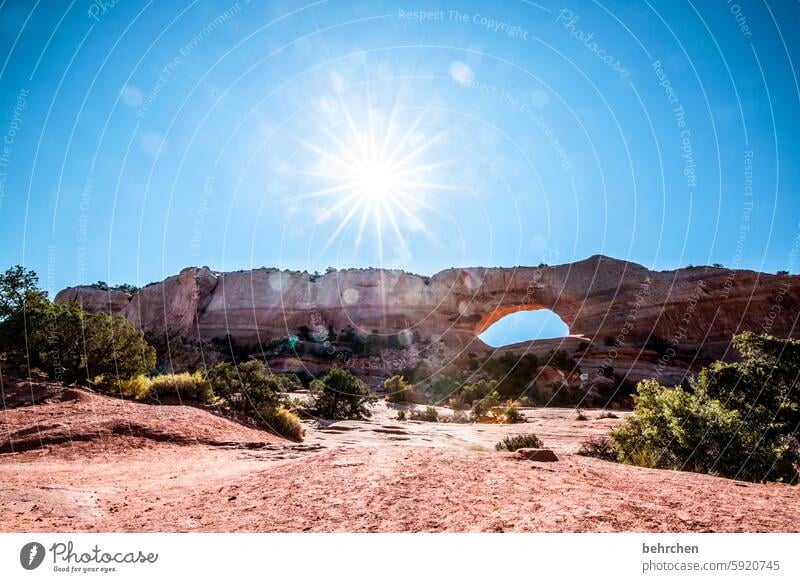 patchy | a piece of heaven Arch In transit Nature Landscape Adventure Wanderlust Exceptional USA Americas Freedom Vacation & Travel Far-off places Utah