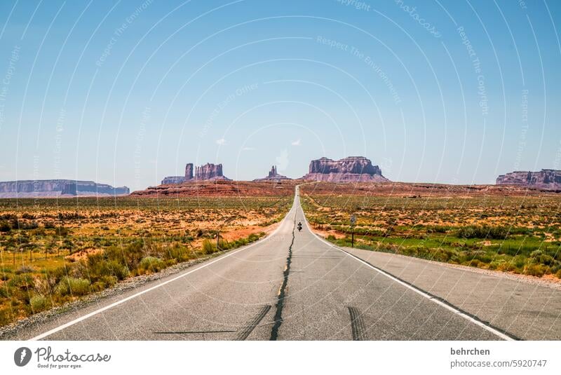 road trip Vacation & Travel Far-off places Sky Freedom Americas USA Fantastic Exceptional Dream Longing Wanderlust Arizona Monument Valley Street Lanes & trails