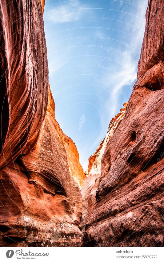 antelope Impressive Fascinating canyon Fantastic Arizona Vacation & Travel Exceptional Far-off places Nature Americas USA Antelope Canyon stunningly Rock