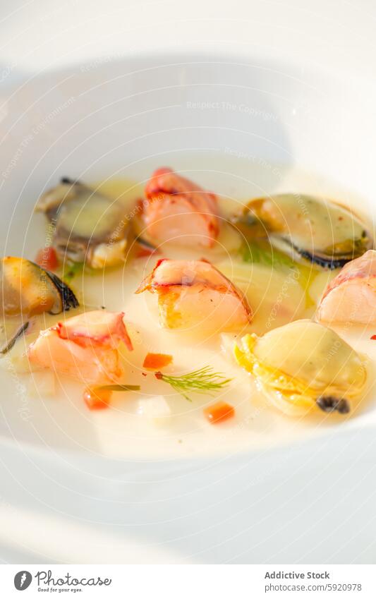 Tasty haute cuisine seafood with sauce in white bowl appetizing blurred background ceramic crab cream daytime delectable delicacy delicatessen delicious dish