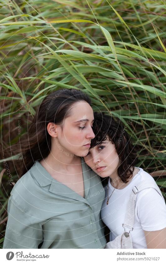 Lesbian couple standing near plants girlfriend same sex relationship love romantic spend time weekend countryside women lesbian embrace natural vegetate serene