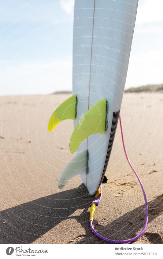 Surfboard with fins on coast surfboard shore coastal seashore beach waterfront activity sand seaside nature equipment summer rope colorful sunshine sunlight