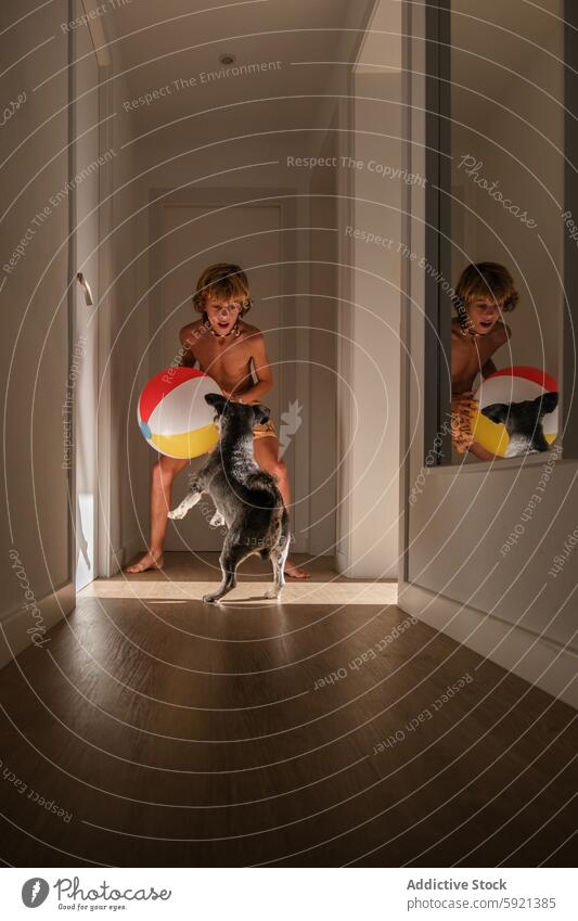 Full body of happy preteen shirtless boy and Miniature Schnauzer playing with colorful ball in narrow hallway at home dog lifestyle pet friendship teenager