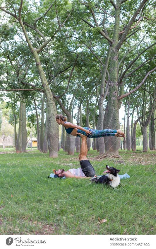 Couple practicing acroyoga in green park in daytime couple practice asana acro yoga wellness balance together harmony wellbeing pose woman activity activewear