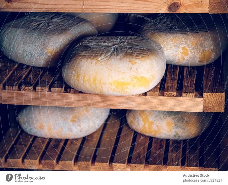 Traditional Mahon-Menorca cheese wheels on wooden shelves mahon-menorca shelf mature aging rind yellow rustic storage dairy product food traditional