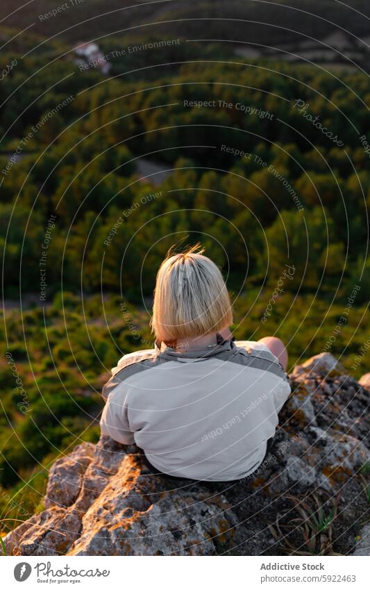 Unrecognizable traveler contemplating trees from rough mountain tourist contemplate nature highland landscape explore wanderlust countryside evening alone