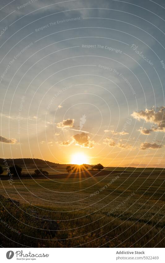 Countryside field under cloudy sky with sun rays sunbeam nature landscape environment ecology countryside evening tree grassland vegetate meadow idyllic lawn