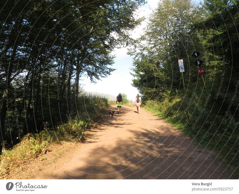 Two people hiking on mountain mountain trail outdoor adventure scenic hike mountain path nature exploration hikers rugged terrain mountain scenery trekking duo