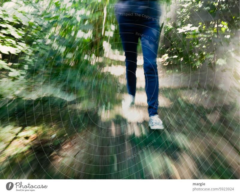 A woman runs through the forest Forest trees Tree bushes Green Environment Woman Walking Exterior shot sports shoes jeans jogger off Relaxation Movement Nature