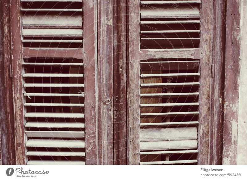 Shutters are in shutters Living or residing Flat (apartment) House (Residential Structure) Dream house House building Redecorate Arrange Safety Car Window