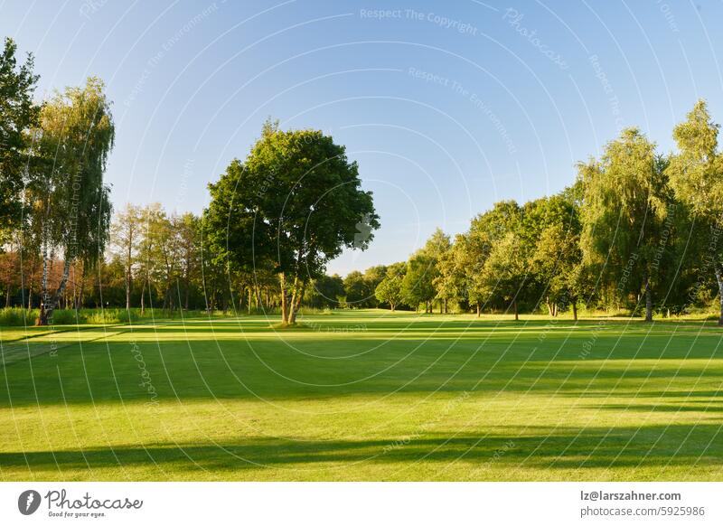 A picturesque view of a lush golf course under a clear blue sky. Perfect for showcasing the beauty of nature, outdoor sports, and relaxation in a serene, green environment.