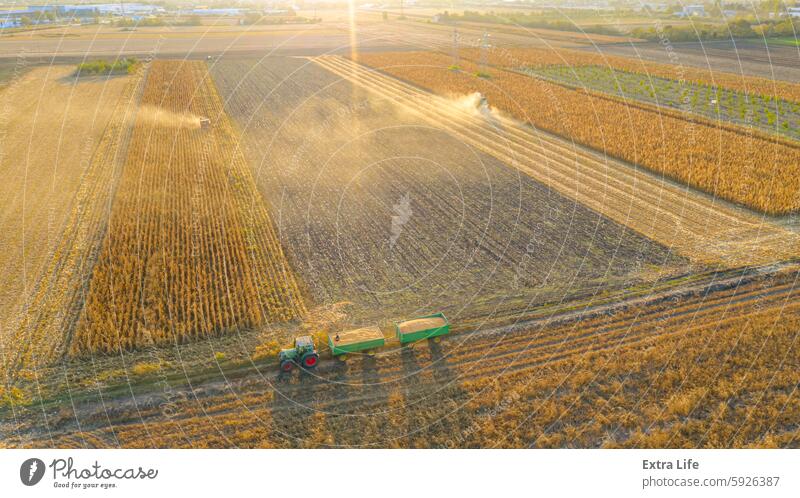 Aerial view of combine, harvester machine harvest ripe maize Above Agriculture Autumn Backlight Cereal Combine Corn Cornfield Country Crop Cut Divided Dry Dust