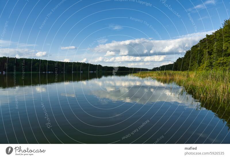 Summer day on the Mecklenburg Lake District Raft tour Water Sky reflection Forest reed Clouds Nature Landscape Lakeside Exterior shot Surface of water Deserted