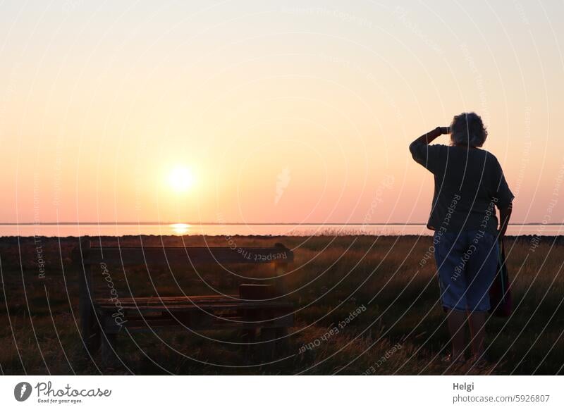 Hallig Gröde | Watching the sunset Sunset Sunlight Evening Human being Woman Senior citizen Silhouette Rear view Back-light reverberant North Sea Ocean sea view