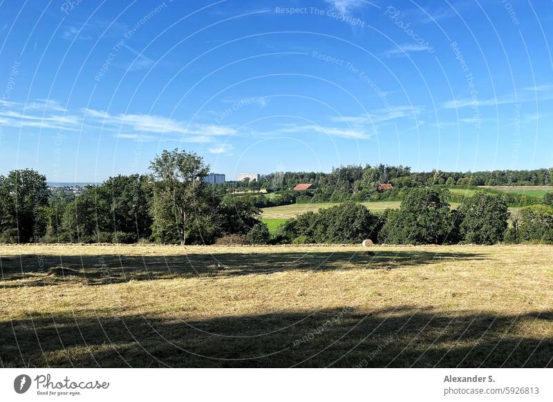 Mown meadow with straw bales Meadow outlook Grass Grassland Hay Bale of straw Straw Summer Landscape Agriculture Hay bale Blue Edge of the forest Sky