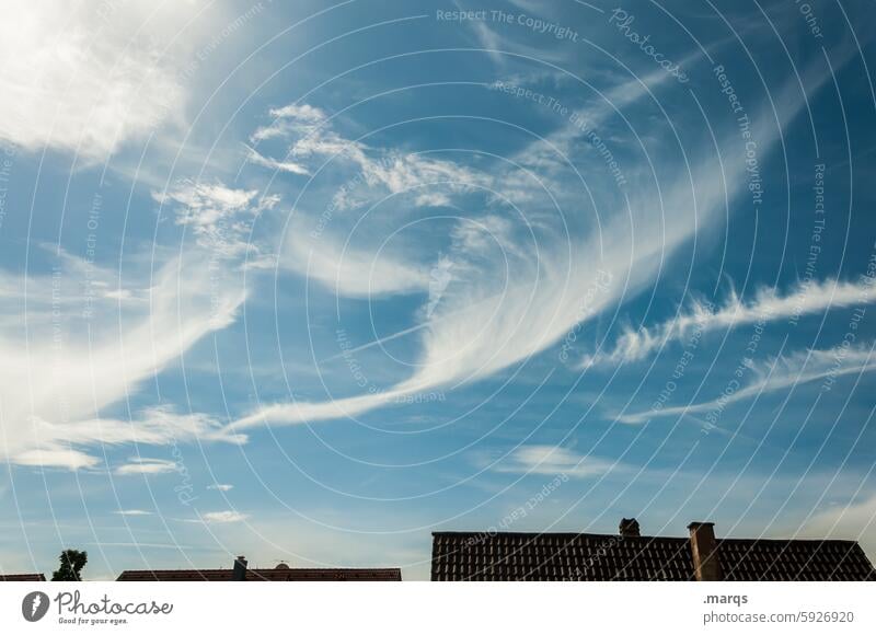 Cloudy Air Cirrus cloud Cloud formation Climate Climate change Environment Elements Beautiful weather Weather Nature Clouds Blue Clouds in the sky