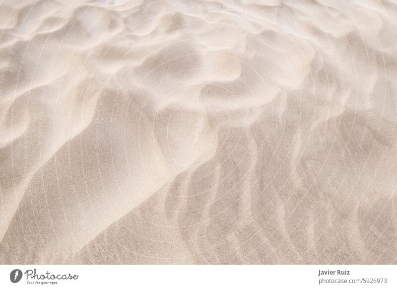 wind patterns on the sand of the beach, texture of a dune with waves made by the action of the wind grains nature desert arid dry landscape outdoors minimalism