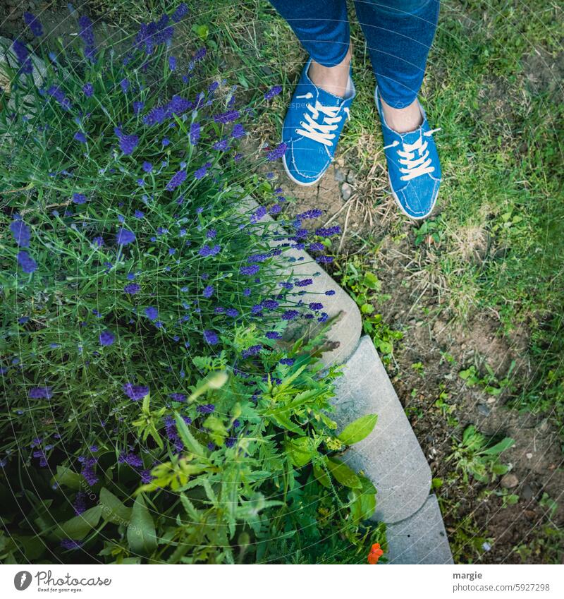 Blue flower bed with blue shoes Garden Bed (Horticulture) Plant Flower Blossom Exterior shot Footwear sports shoes Women's Feet