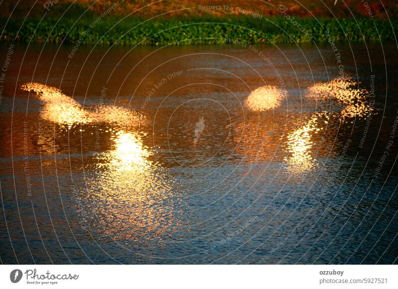 reflection of light in the river water liquid abstract rippled nature horizontal shiny wave sunlight background no people textured pattern water surface colours