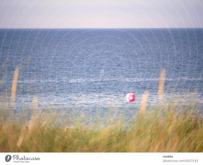 Behind the dune it's off Beach Baltic Sea Ocean Sand coast Summer Relaxation Vacation & Travel Tourism Summer vacation Water Waves Sandy beach Beautiful weather